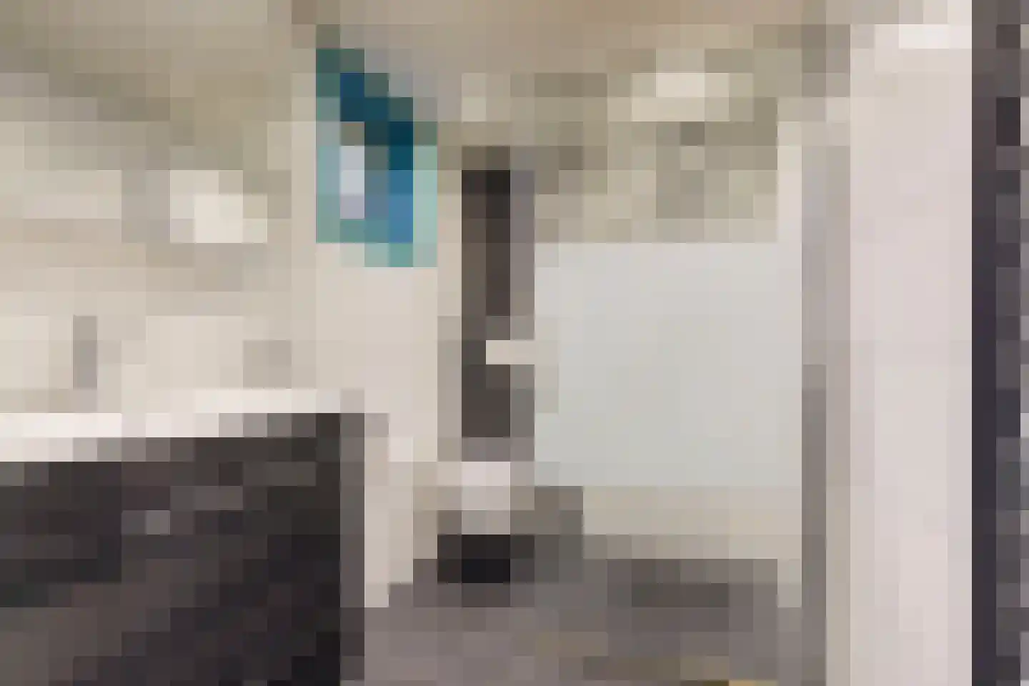 Koningin Wilhelminastraat 17 De Lier thumbnail 5