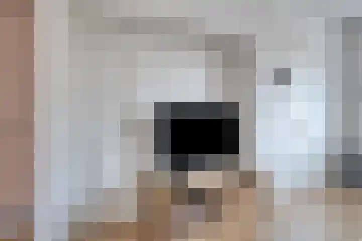 Koningin Wilhelminastraat 18 De Lier thumbnail 10