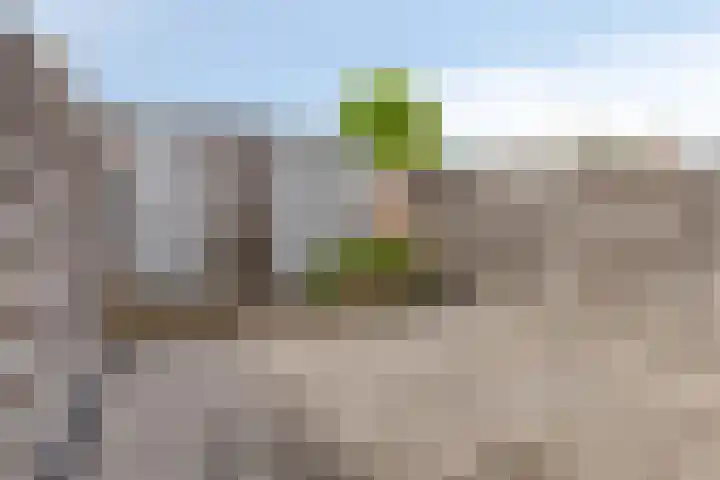 Koningin Wilhelminastraat 18 De Lier thumbnail 15