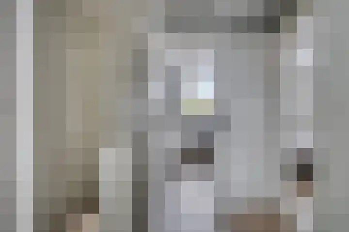 Koningin Wilhelminastraat 18 De Lier thumbnail 19