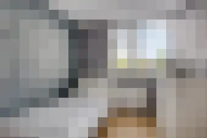 Koningin Wilhelminastraat 18 De Lier thumbnail 25