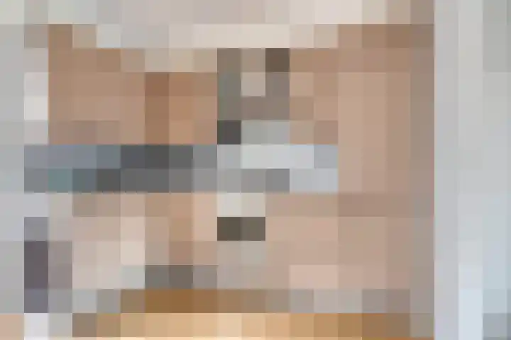 Koningin Wilhelminastraat 18 De Lier thumbnail 6