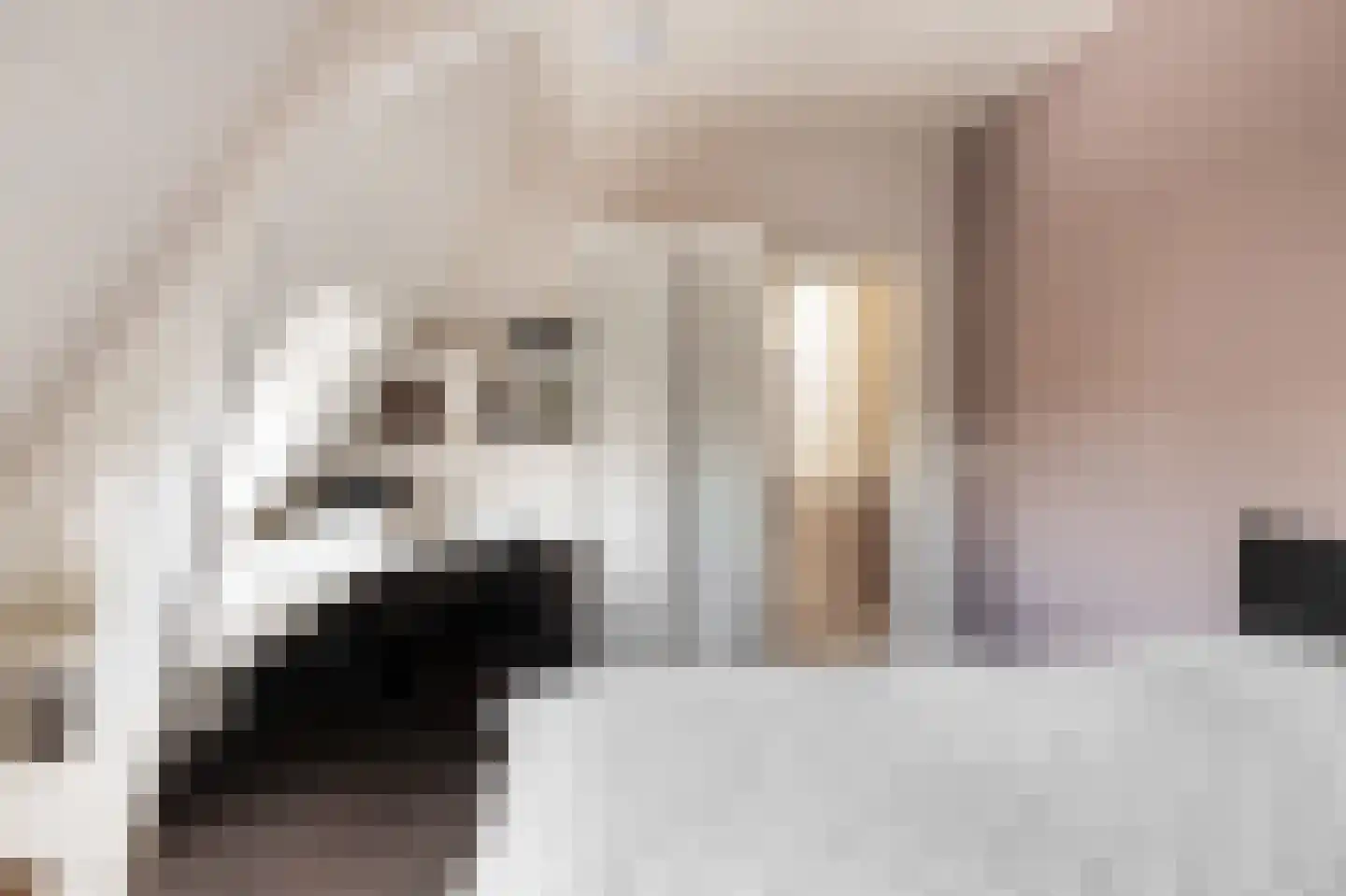 Koningin Wilhelminastraat 18 Zwolle thumbnail 36