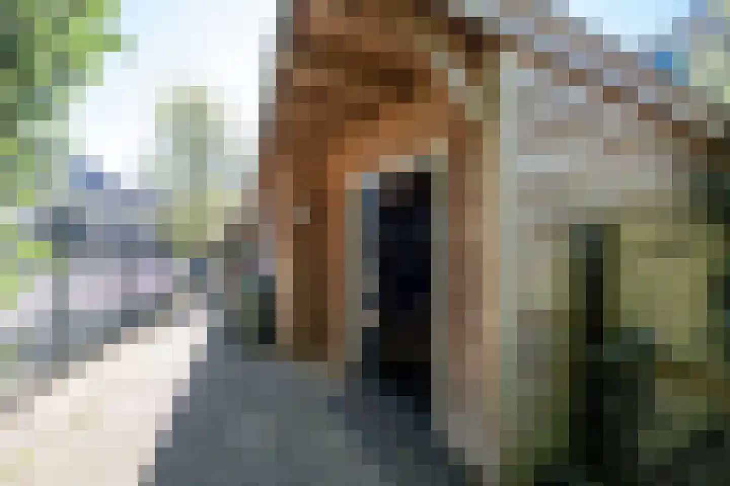 Koningin Wilhelminastraat 18 Zwolle thumbnail 54