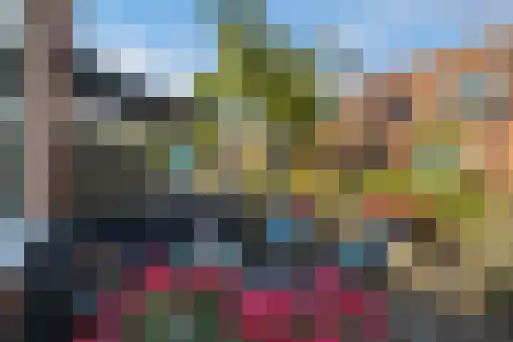 Koningin Wilhelminastraat 19 De Lier thumbnail 11