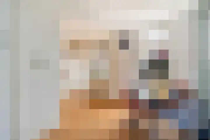 Koningin Wilhelminastraat 19 De Lier thumbnail 19
