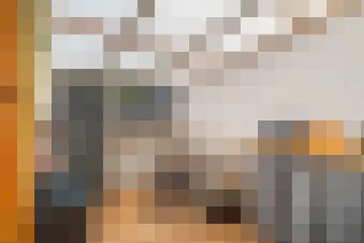 Koningin Wilhelminastraat 19 De Lier thumbnail 25