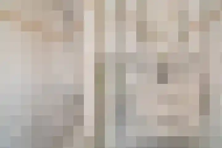 Koningin Wilhelminastraat 19 De Lier thumbnail 31