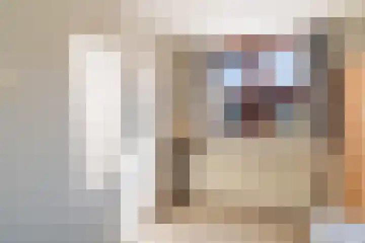 Koningin Wilhelminastraat 19 De Lier thumbnail 44