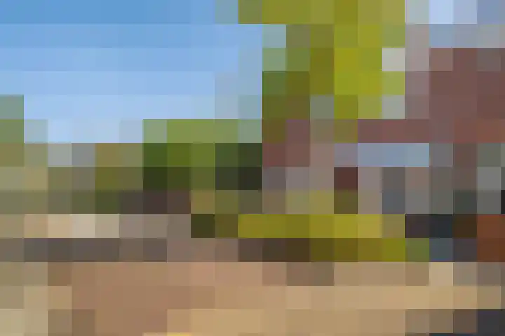 Koningin Wilhelminastraat 19 De Lier thumbnail 7