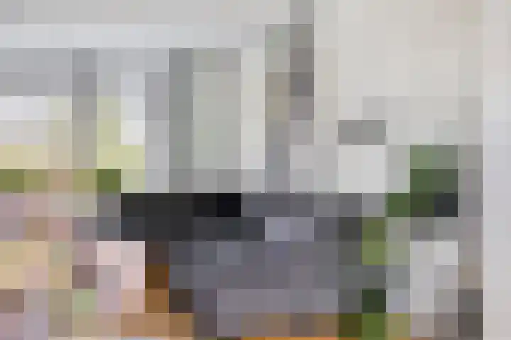 Koningin Wilhelminastraat 2 Kloetinge thumbnail 13