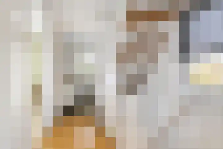 Koningin Wilhelminastraat 2 Kloetinge thumbnail 19