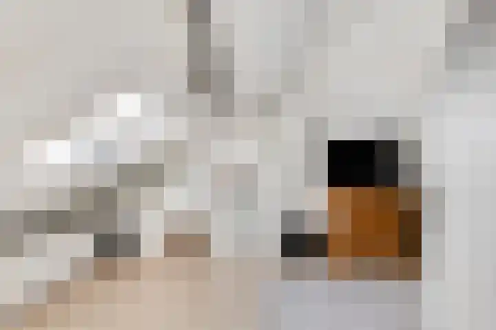 Koningin Wilhelminastraat 2 Kloetinge thumbnail 29