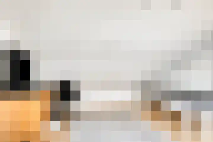 Koningin Wilhelminastraat 2 Kloetinge thumbnail 30