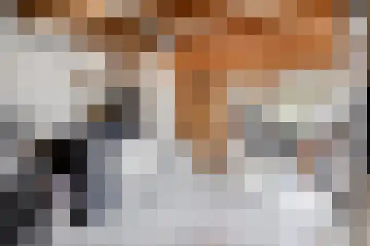 Koningin Wilhelminastraat 2 Kloetinge thumbnail 33
