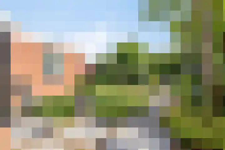 Koningin Wilhelminastraat 2 Kloetinge thumbnail 36