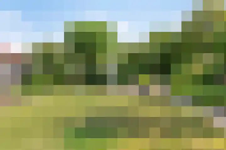 Koningin Wilhelminastraat 2 Kloetinge thumbnail 4