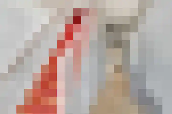 Koningin Wilhelminastraat 2 Kloetinge thumbnail 7