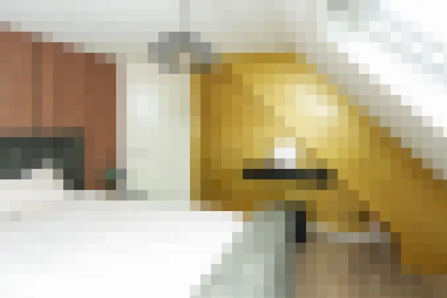 Koningin Wilhelminastraat 2 Ooij thumbnail 32