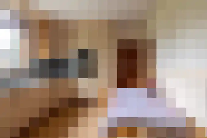 Koningin Wilhelminastraat 22 Wehl thumbnail 10