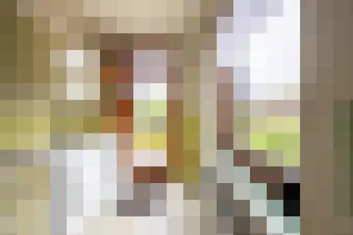 Koningin Wilhelminastraat 22 Wehl thumbnail 12