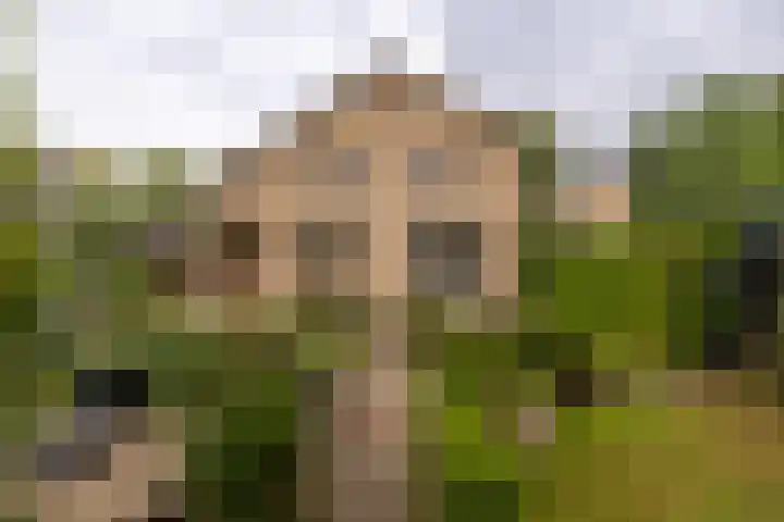 Koningin Wilhelminastraat 22 Wehl thumbnail 13