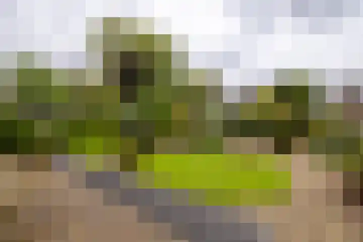 Koningin Wilhelminastraat 22 Wehl thumbnail 14