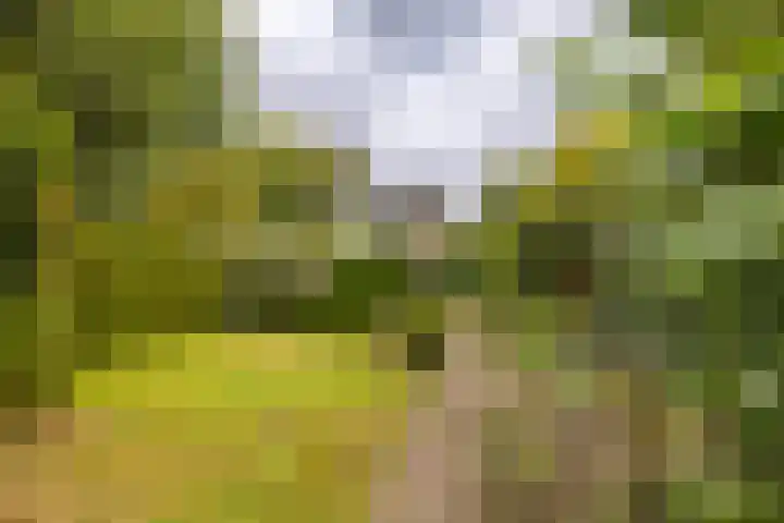 Koningin Wilhelminastraat 22 Wehl thumbnail 15