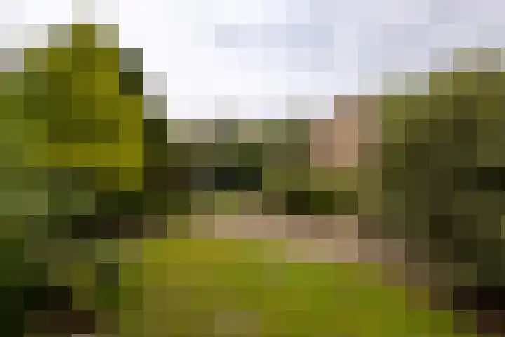 Koningin Wilhelminastraat 22 Wehl thumbnail 16