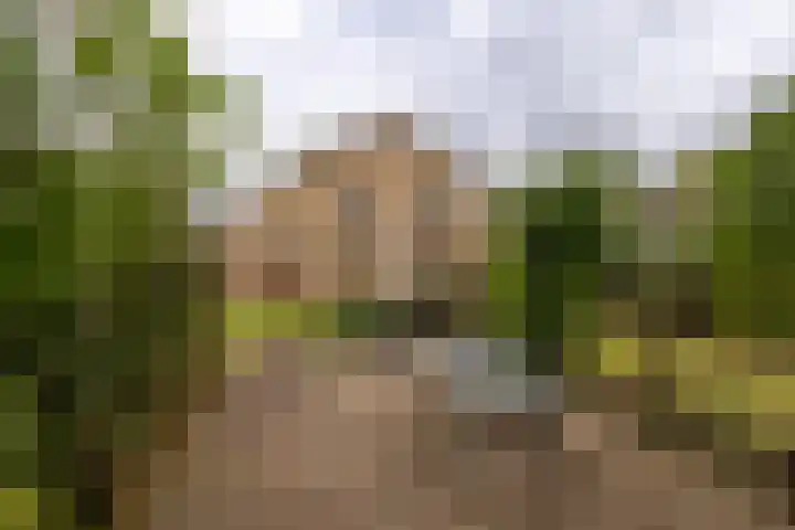 Koningin Wilhelminastraat 22 Wehl thumbnail 17