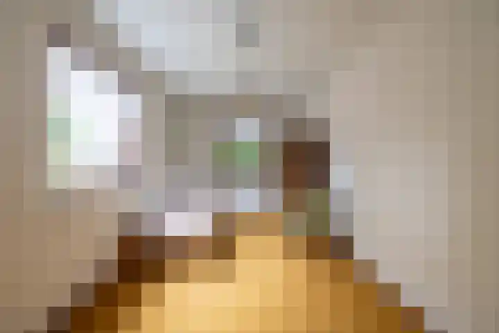 Koningin Wilhelminastraat 22 Wehl thumbnail 29