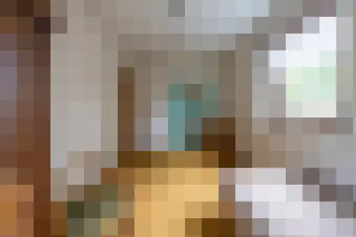 Koningin Wilhelminastraat 22 Wehl thumbnail 30