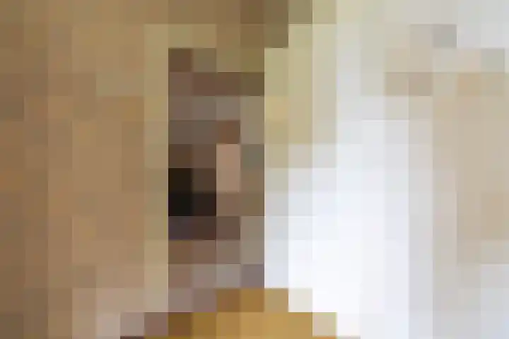 Koningin Wilhelminastraat 22 Wehl thumbnail 33