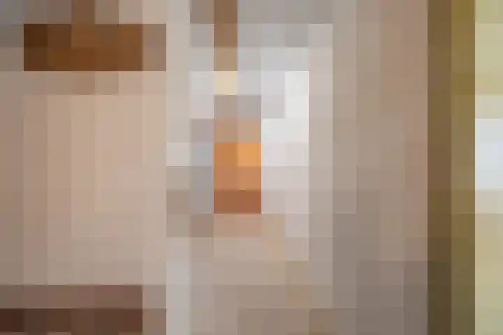 Koningin Wilhelminastraat 22 Wehl thumbnail 34
