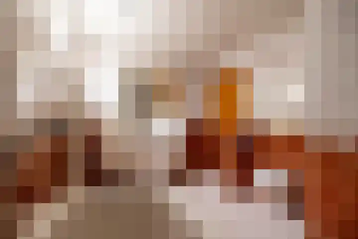 Koningin Wilhelminastraat 22 Wehl thumbnail 39