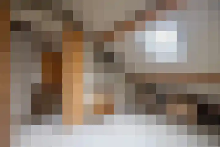 Koningin Wilhelminastraat 22 Wehl thumbnail 43