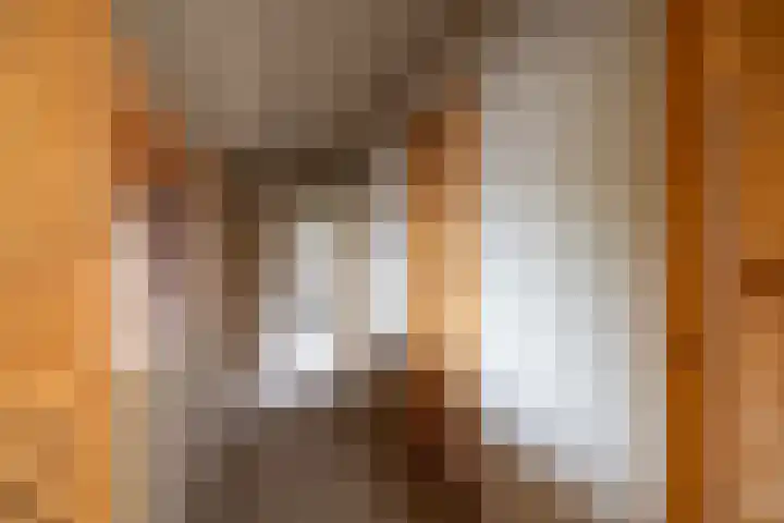 Koningin Wilhelminastraat 22 Wehl thumbnail 45