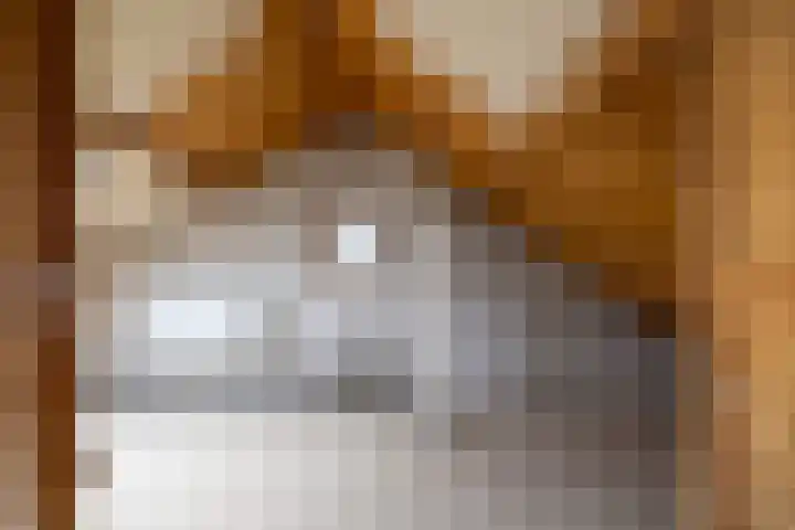 Koningin Wilhelminastraat 22 Wehl thumbnail 46