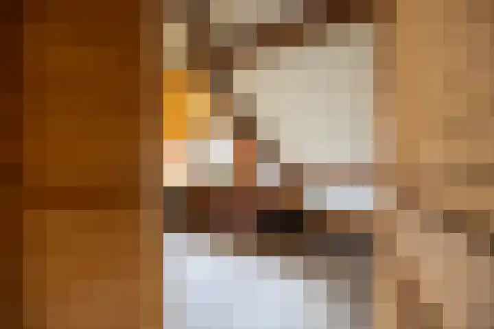 Koningin Wilhelminastraat 22 Wehl thumbnail 48