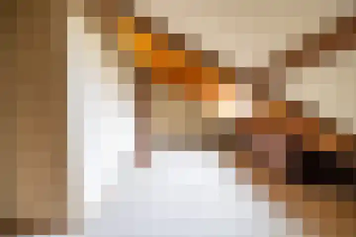 Koningin Wilhelminastraat 22 Wehl thumbnail 49