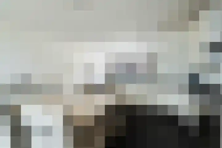 Koningin Wilhelminastraat 23 De Lier thumbnail 11