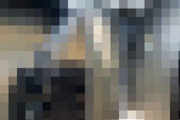 Koningin Wilhelminastraat 23 De Lier thumbnail 22