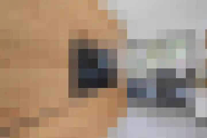 Koningin Wilhelminastraat 24 Nootdorp thumbnail 30