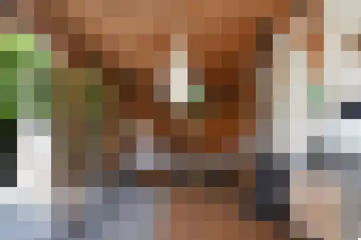Koningin Wilhelminastraat 24 Nootdorp thumbnail 38