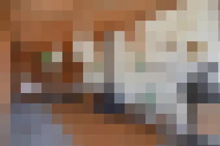 Koningin Wilhelminastraat 24 Nootdorp thumbnail 39
