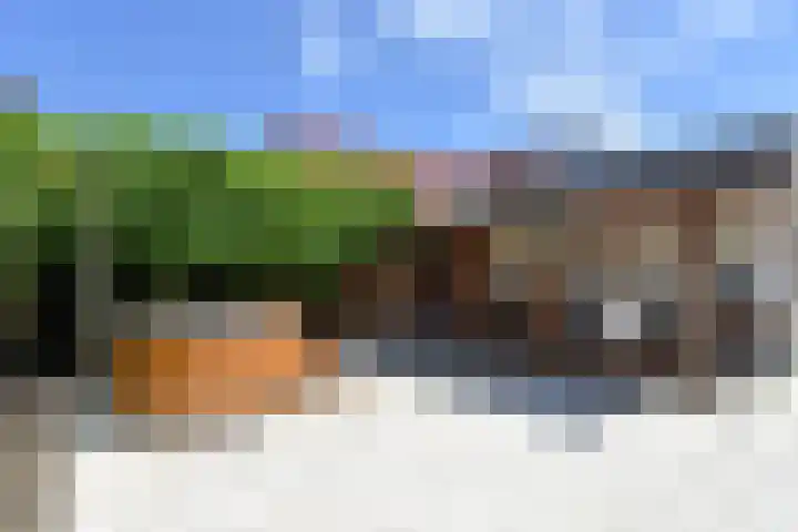 Koningin Wilhelminastraat 24 Nootdorp thumbnail 45
