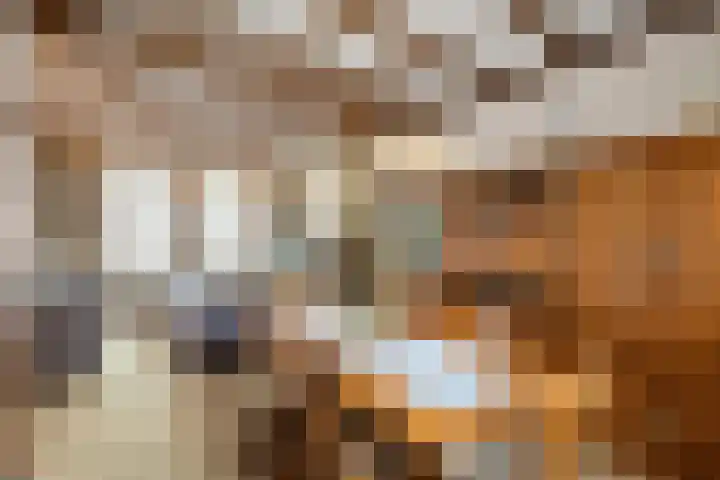 Koningin Wilhelminastraat 24 Nootdorp thumbnail 51