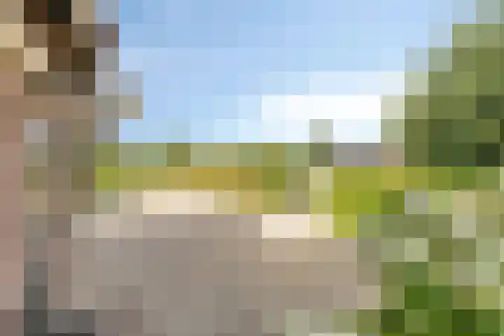 Koningin Wilhelminastraat 24 Nootdorp thumbnail 6