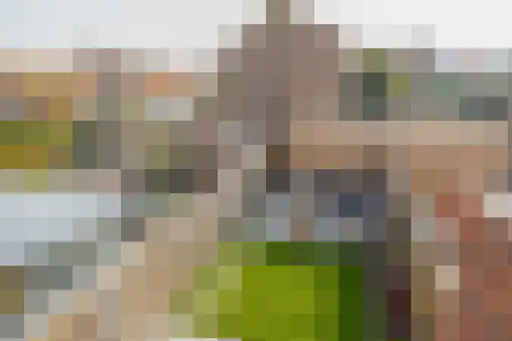 Koningin Wilhelminastraat 24 Nootdorp thumbnail 69