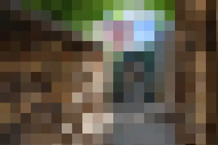 Koningin Wilhelminastraat 24 Nootdorp thumbnail 69